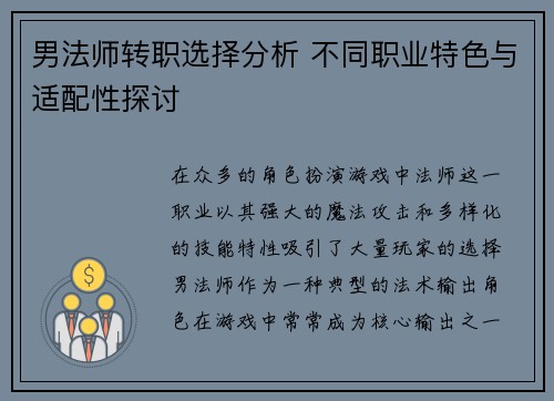 男法师转职选择分析 不同职业特色与适配性探讨